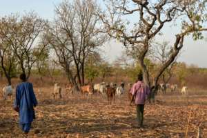 Landowners and herders say the project has helped to avoid conflict between the communities.  By Sia KAMBOU (AFP)