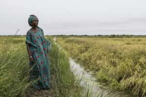 Mai Diop said rice was a big part of her daily life.  By PATRICK MEINHARDT (AFP)