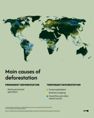 World map showing the main causes of deforestation for the period 2001-2024.  By Jean-Philippe CHOGNOT, Sabrina BLANCHARD (AFP)