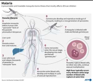 Malaria