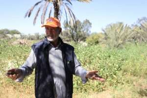 Man has destroyed forests said Khalifa Ramadan, who has been working in agriculture and gardening for 40 years.  By Mahmud TURKIA (AFP)