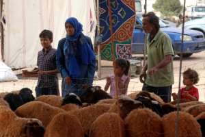 Many Libyan families are struggling to afford a sheep for Eid.  By Abdullah DOMA (AFP)