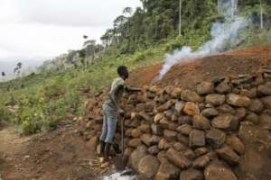 Many say they have no other option but to eke out a living by charcoal burning.  By PATRICK MEINHARDT (AFP)