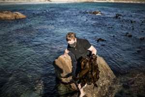 Ocean bounty: Chef Kobus van der Merwe collects kelp for his menu.  By MARCO LONGARI (AFP)