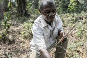 Omokami collects branches in a deforested area. The Aka have learned to find food, shelter and medicine in the forest ecosystem, but their way of life is now at threat.  By Barbara DEBOUT (AFP)