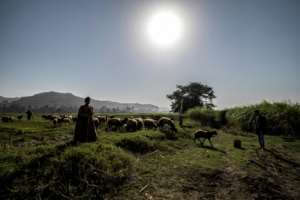 On The Brink of Dreams follows teenage girls in a rural part of Egypt.  By Khaled DESOUKI (AFP)