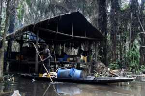 Ovwiroro paddles out every day to collect the bounty from his trees.  By Pius Utomi EKPEI (AFP)
