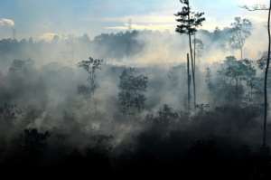 Peatlands, such as these in Indonesia, store twice as much carbon as the worlds forests, even though they cover just three percent of all land surface.  By CHAIDEER MAHYUDDIN (AFP/File)