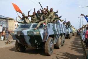 People cheer members of Sudans armed forces taking part in a military parade held on Army Day.  By - (AFP)
