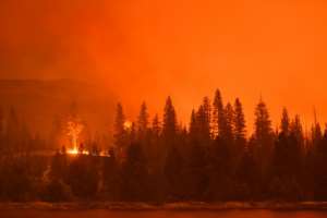 Planting trees to soak up CO2 is fine -- until the forests burn down in climate-fuelled wildfires.  By Patrick T. FALLON (AFP/File)