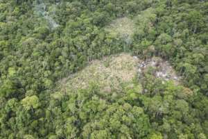 Poverty, ignorance and greed drive deforestation, a conservation activist said.  By PATRICK MEINHARDT (AFP)