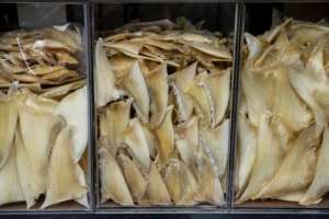 Researchers say shark finning is not just brutal, but is harmful to shark populations whose numbers are in drastic decline.  By ISAAC LAWRENCE (AFP/File)