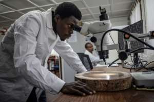 Scientists at the Yangambi Biosphere Reserve are studying the rainforests role in climate change.  By Guerchom Ndebo (AFP)