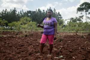 Scola Namataka told AFP she could never have imagined raising insects, especially ones known to feast on faeces.  By BADRU KATUMBA (AFP)