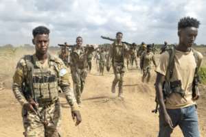Somalias government has been battling the Al-Shabaab insurgency for two decades.  By Tony KARUMBA (AFP)