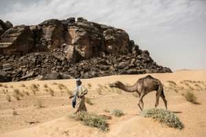 Some Nemadis have abandoned their traditional way of life to become camel herders.  By JOHN WESSELS (AFP)