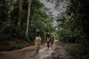 Some say locals have seen little benefit from promised funds to protect the rainforest.  By Guerchom Ndebo (AFP)
