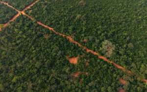The Achimota Forest is a stretch of green in Ghanas capital Accra.  By Nipah Dennis (AFP)