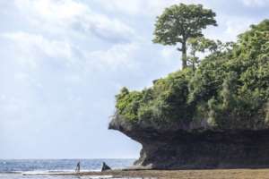 The area around Kenyas Wasini-Mkwiro island is considered a marine conservation success story.  By Tony KARUMBA (AFP)