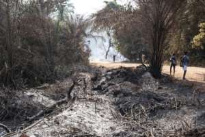 The Central African Republic lost more than a fifth of its rainforest over two decades.  By Barbara DEBOUT (AFP)
