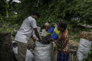 The charcoal trade fuels deforestation but is relied on by local communities, who earn 8,000 Congolese francs ($3) per sack.  By Glody MURHABAZI (AFP)