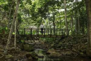 The dividend scheme is the idea of an entrepreneur who promotes exclusive ecotourism for the ultra-wealthy.  By Daniel BELOUMOU OLOMO (AFP)