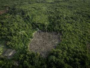 The DRC lost 36 percent of its tree cover between 2004 and 2022, according to the observatory Global Forest Watch.  By Glody MURHABAZI (AFP)
