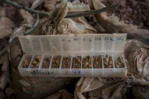 The forest is home to endangered primates and pangolins, rare frogs, birds and butterflies.But the ground also contains large deposits of bauxite, the essential component in aluminium.  By CRISTINA ALDEHUELA (AFP)