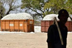 The industry faces obstacles in the transport and harvest of cotton as well as the delivery of supplies due to a violent islamist insurgency that began more than a decade ago.  By ISSOUF SANOGO (AFP/File)
