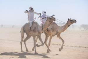 The International Festival of Saharan Cultures is a week-long celebration with cultural events and performances.  By Joris Bolomey (AFP)