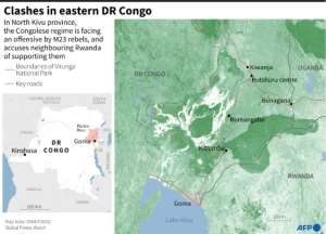 The rebels have been pushing towards Goma, the main city in North Kivu province.  By Valentin RAKOVSKY (AFP)