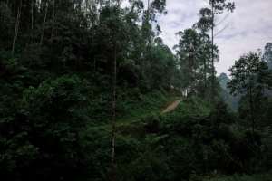 The road between Lubero and Butembo in eastern North Kivu province is forested.  By PHILMON BARBIER (AFP/File)