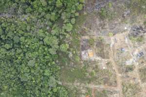 There has been an alarming increase in deforestation and illegal encroachment on the national park where the Tacugama refuge is located.  By PATRICK MEINHARDT (AFP)