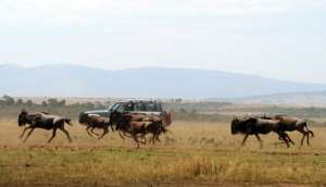 Tourism is now the second largest driver of growth in Kenya, home to some of the worlds most visited safaris.  By ROBERTO SCHMIDT (AFP/File)