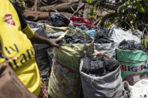 Units of villagers have been set up to monitor the forests under an unprecedented initiative to fight deforestation.  By PATRICK MEINHARDT (AFP)