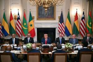 US President Donald Trump (C) speaks during a multilateral lunch with visiting African leaders at the White House.  By Jim WATSON (AFP)