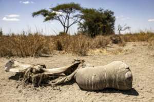 While observers still question the possible cause of death, several specialists interviewed by AFP dismiss poisoning.  By SIMON MAINA (AFP)