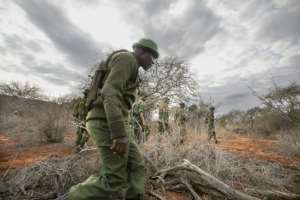 Wildlife Works says the project has avoided roughly 22 million tonnes of CO2 emissions.  By Tony KARUMBA (AFP)