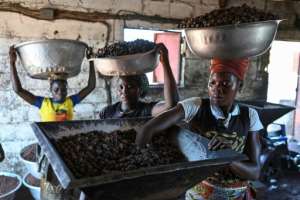 Women rely on making a living from shea at the Chigata cooperative near Korhogo.  By Issouf SANOGO (AFP)