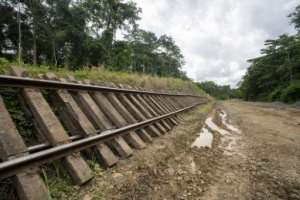 Wooden track parts are prone to rotting in Gabons humid jungle climate.  By Nao Mukadi (AFP)
