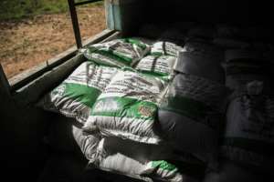 Zambia was hit by poor harvests in 2018 and 2019 - nearly half its population is unable to meet minimum calorie requirements, the UN says.  By Guillem Sartorio (AFP)
