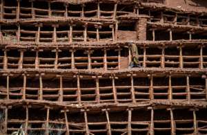 A beekeeper works at the Inzerki Apiary: a five-storeyed structure of wooden struts and dry mud stretching along a hillside. By FADEL SENNA AFP