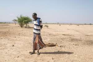 A man stands next to the dried-up carcass of a dead cow in the parched village of Hargududo in southeastern Ethiopia. By EDUARDO SOTERAS AFP
