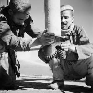 A picture from 1946 shows Moroccan workers install an oil well during prospecting in the Rharb region in the country's north-west. By - AFPFile