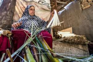 A woman slices papyrus into thin strips at the workshop in al-Qaramus. By Khaled DESOUKI AFP
