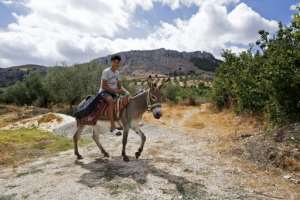 A youth rides a donkey in the Tunisian town of Djebba. By FETHI BELAID AFP