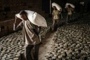 Aid is trickling in at a snail's pace in Tigray. By Yasuyoshi CHIBA AFPFile