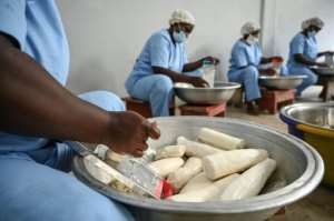 At Rama Cereal, an Ivorian grain mill, workers prepare cassava for adding to wheat flour. By Sia KAMBOU AFP