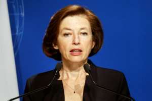 Defence Minister Florence Parly says Paris will not be able to 'cohabit' with 'mercenaries'. By Ludovic MARIN AFPFile