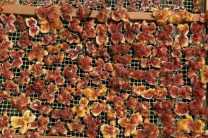 Djebba figs were given a protected designation of origin by Tunisia's agriculture ministry in 2012. By FETHI BELAID AFP